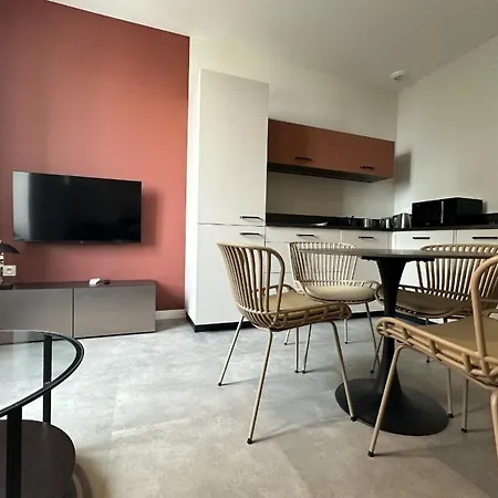 Apartment Magnifique Climatise A Grenoble, Confort Au Coeur De La *