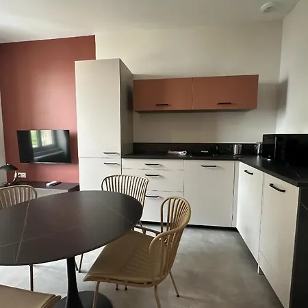 Apartment Magnifique Climatise A Grenoble, Confort Au Coeur De La Grenoble