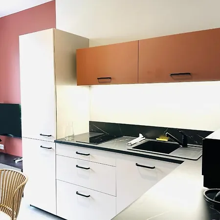 Appartement Magnifique Climatise A Grenoble, Confort Au Coeur De La